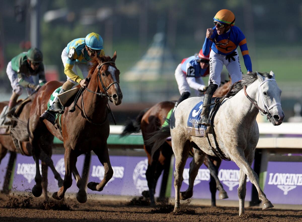 يحتفل الفارس إيراد أورتيز جونيور عند خط النهاية، حيث يقود سيارة White Abarrio للفوز خلال بطولة Breeders' Cup Classic (الصف الأول).  - وكالة فرانس برس