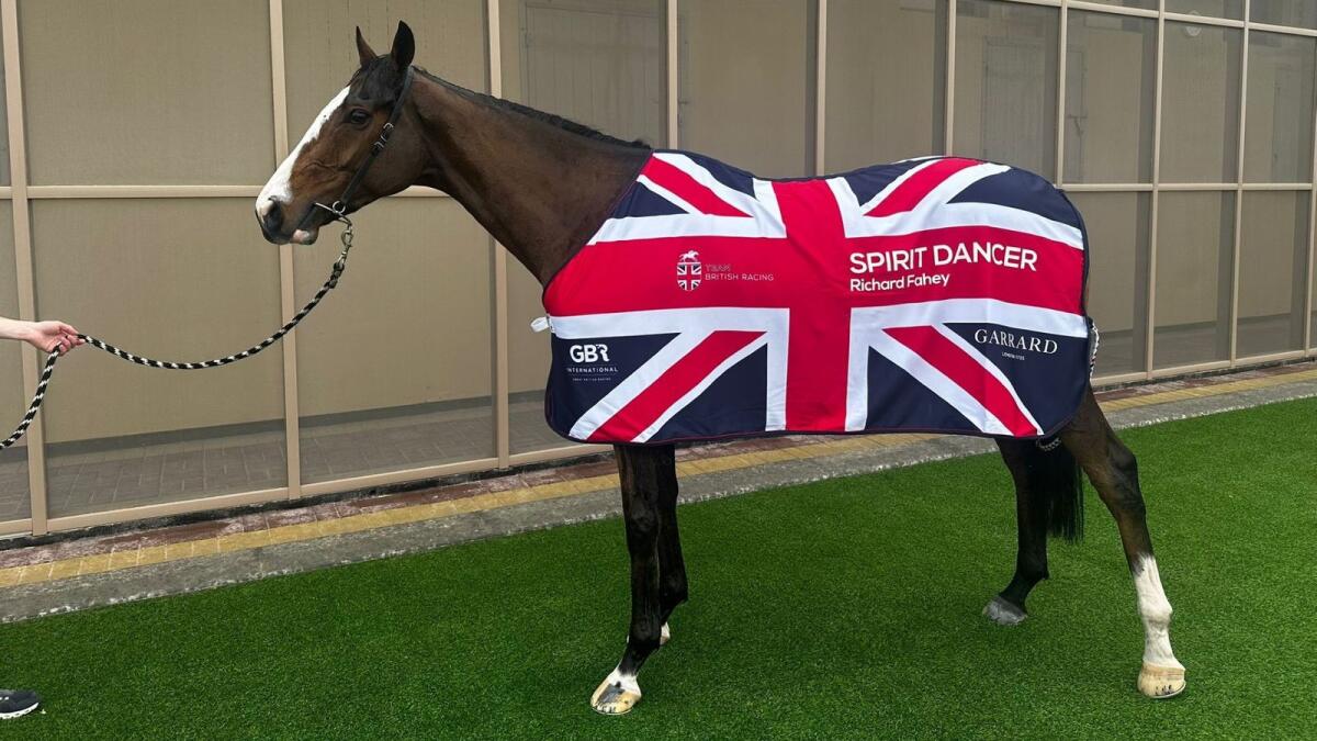 ارتدى Spirit Dancer كل شيء في Union Jack بعد أكبر فوز في حياته المهنية.  - صور - سباق بريطانيا العظمى الدولي