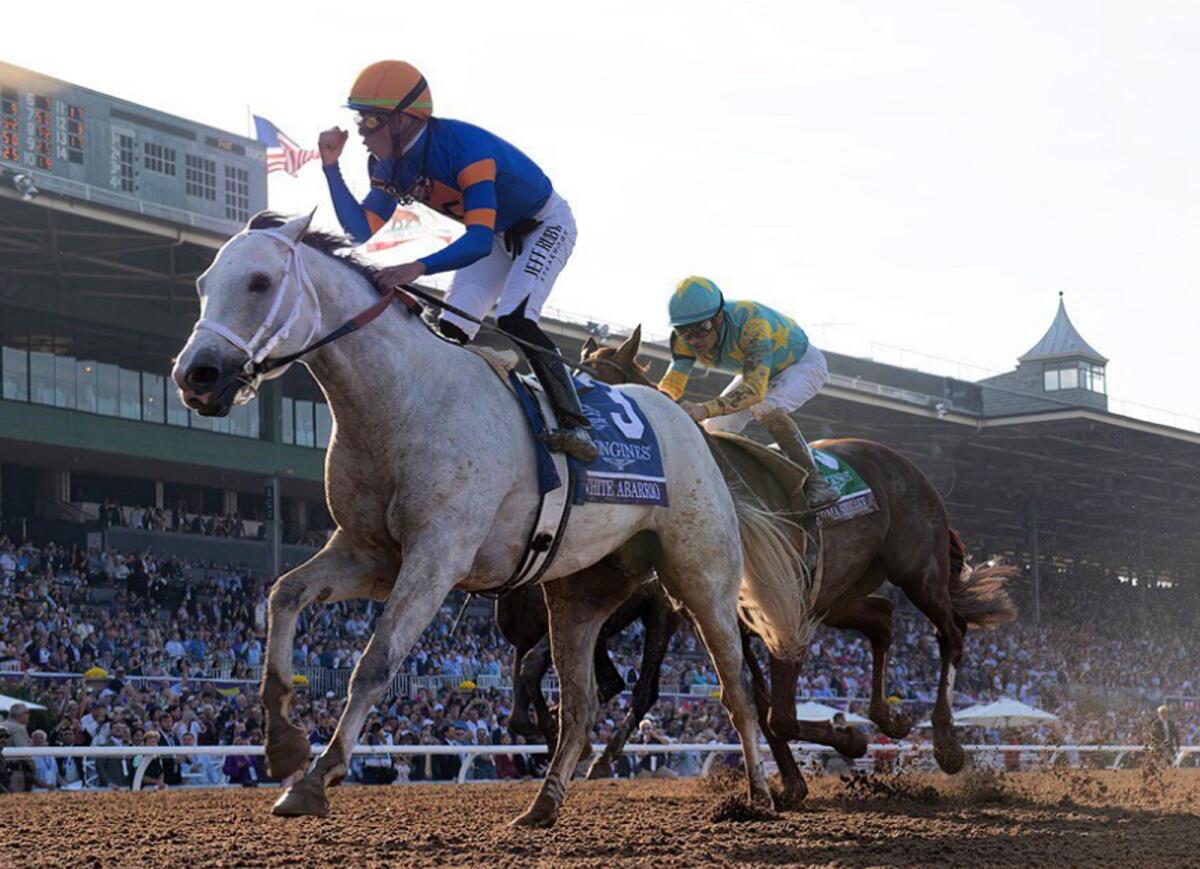 الفائز بجائزة Breeders' Cup Classic، White Abarrio، هو المرشح المفضل لكأس السعودية البالغة قيمتها 20 مليون دولار.  - انستغرام