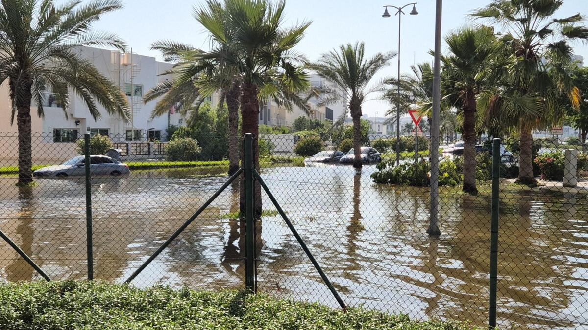 الصور: محمد رضا بناني