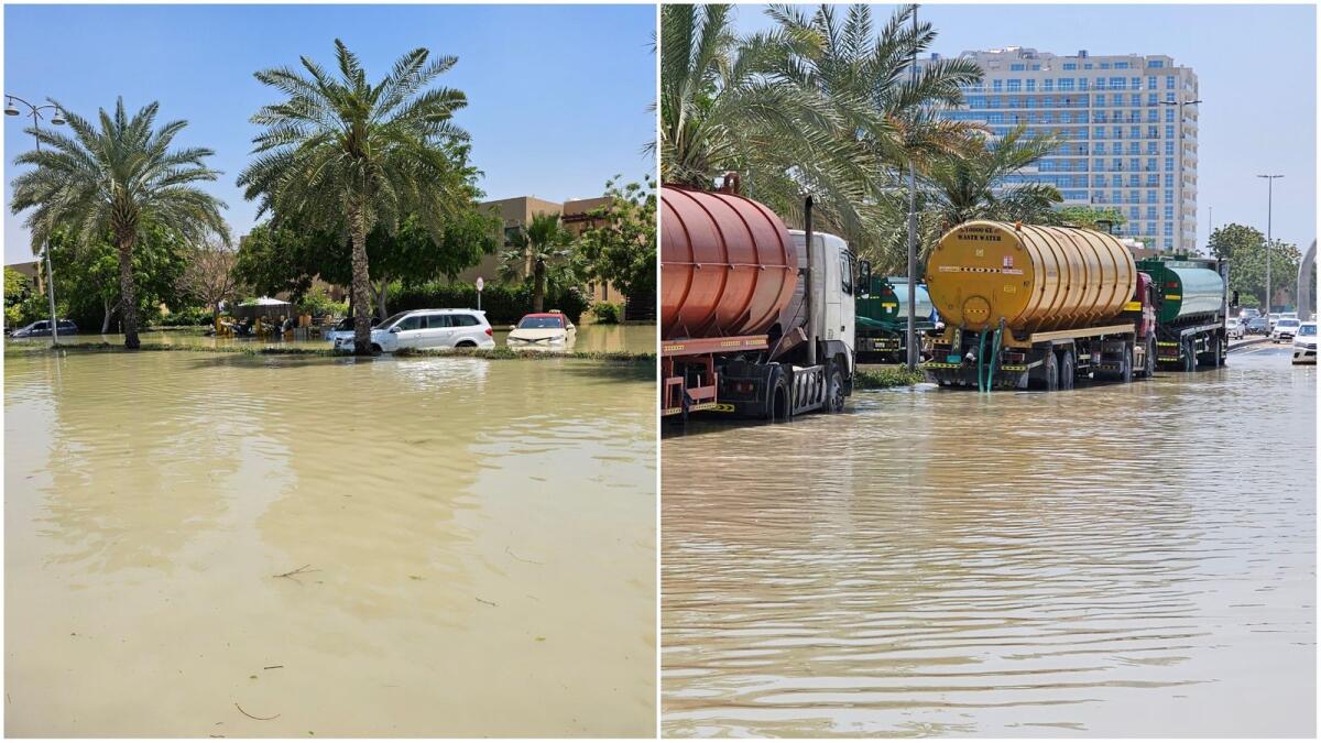 الصور: بينو سارادزيتش