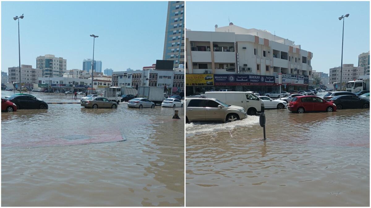 الصور: فايبهاف شيندي