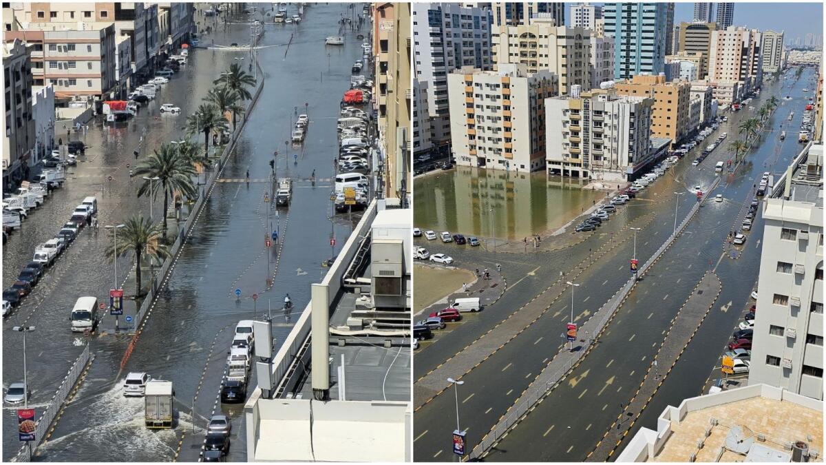 الصور: أثيرا بي بالان